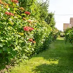 Bed & Breakfast D'hôtes Chez Françoise Et André Merlimont