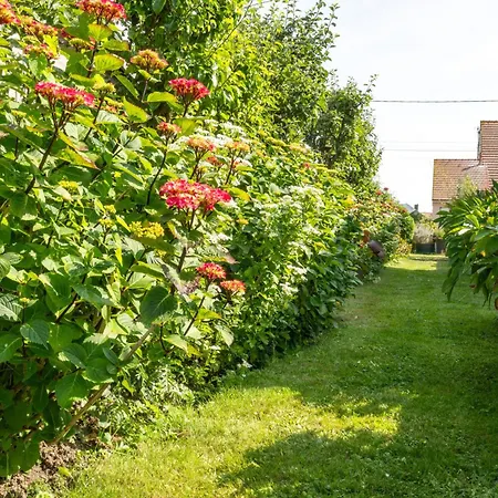Couette-café D'hôtes Chez Françoise Et André Merlimont